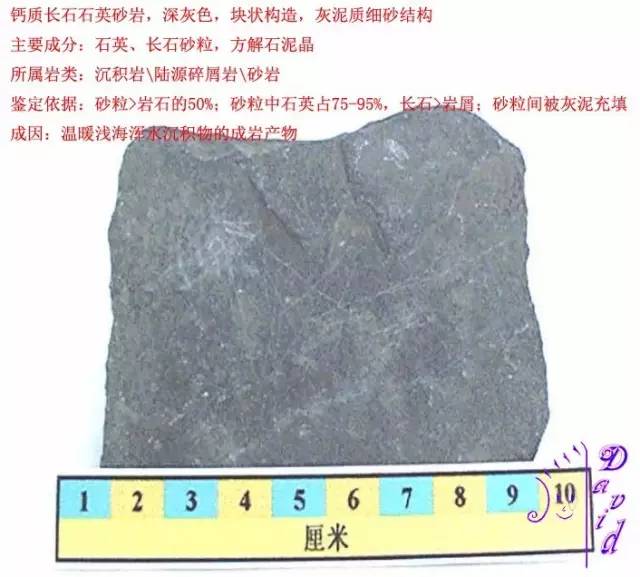 放射虫硅质岩 粉砂岩 钙质复成分砾岩 钙质岩屑砂岩 钙质 长石石英