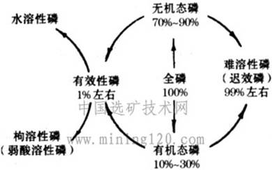 土壤磷素的状况