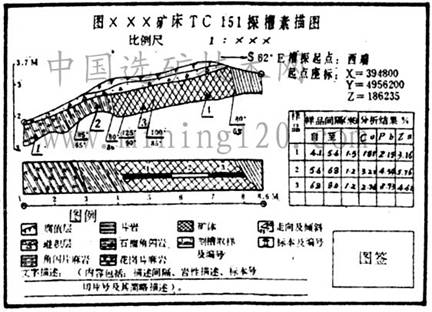 (二)素描图与文字描述合并,格式如图1所示.