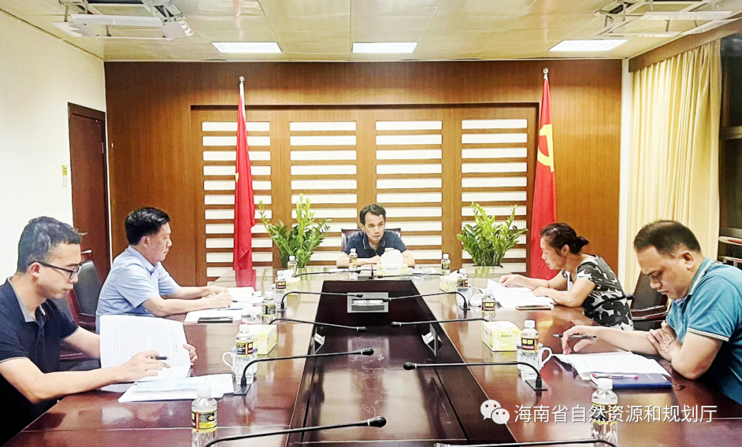海南省自然资源和规划厅召开作风建设专题组织生活会
