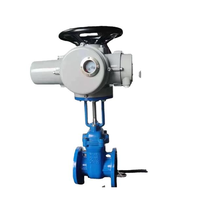 电动法兰软密封闸阀