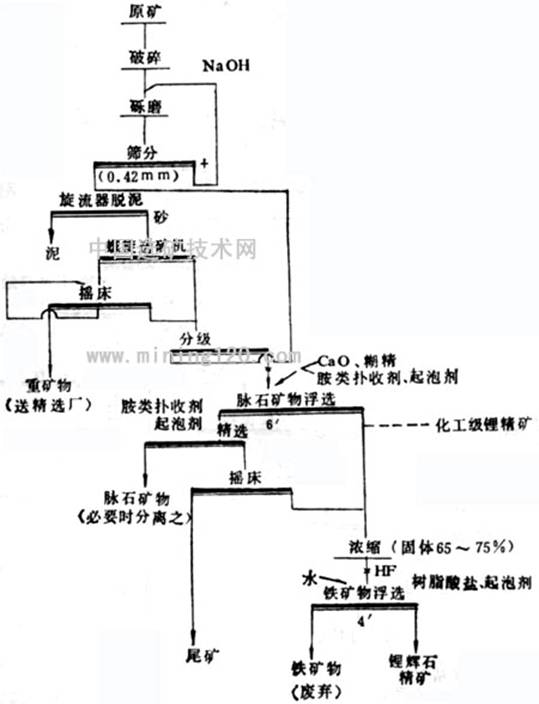 美国金丝山锂辉石选矿厂实例